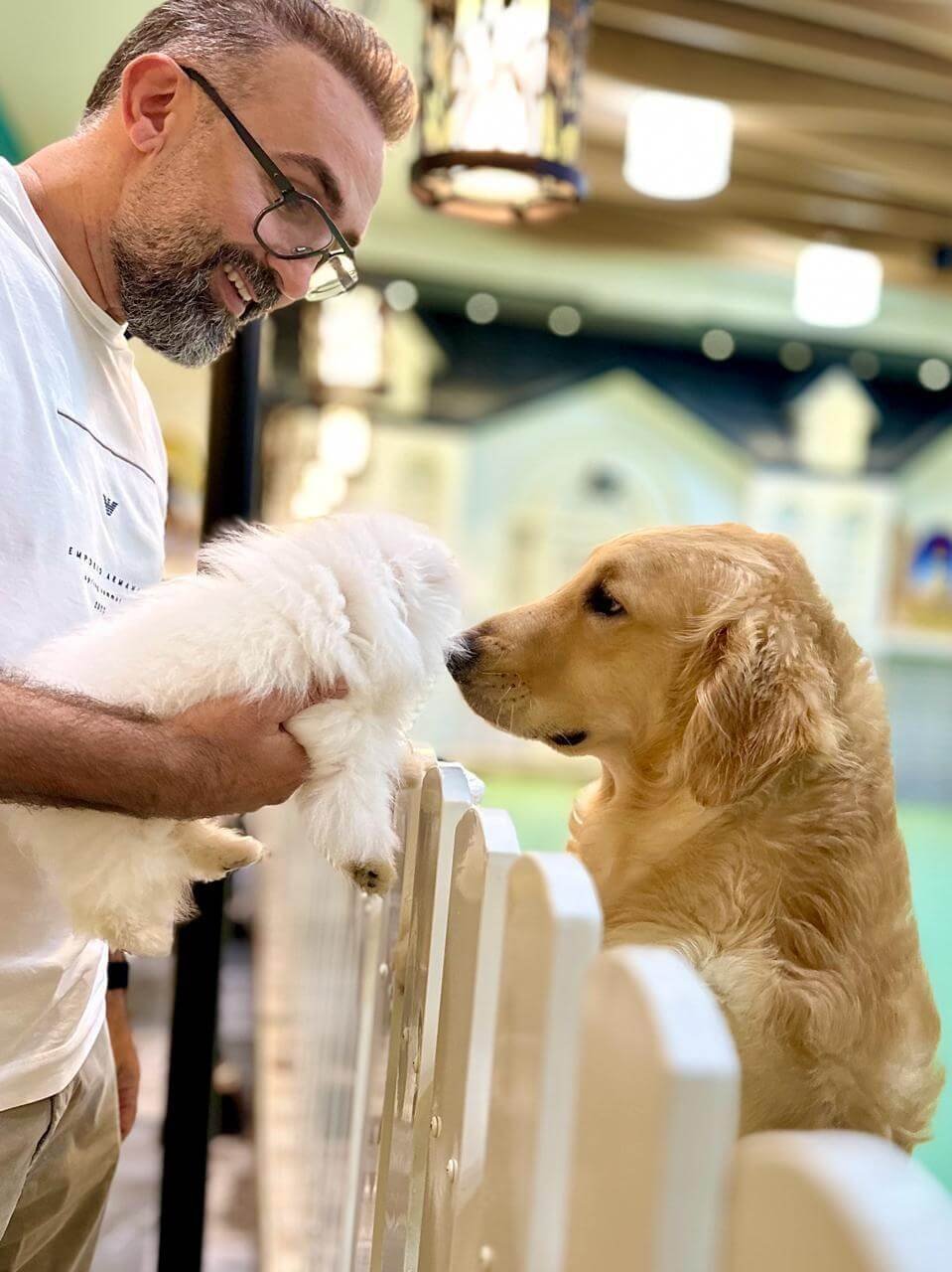 Ahmad Sabra, Founder and CEO of PETME