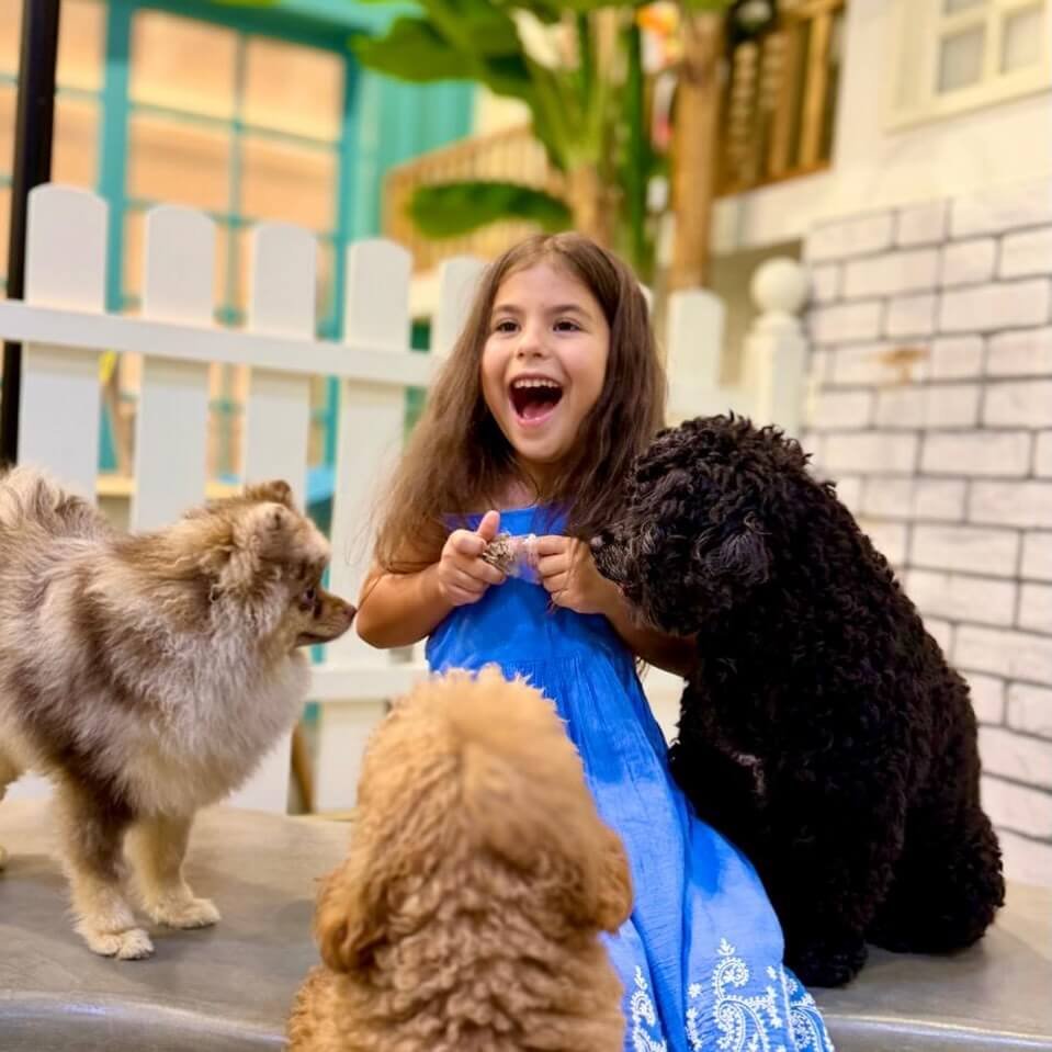 Visitors interacting with dogs at PETME Social Therapy Center