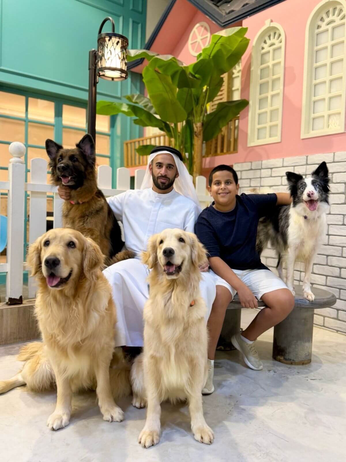 Visitors enjoying time with dogs at PETME Social Therapy Center