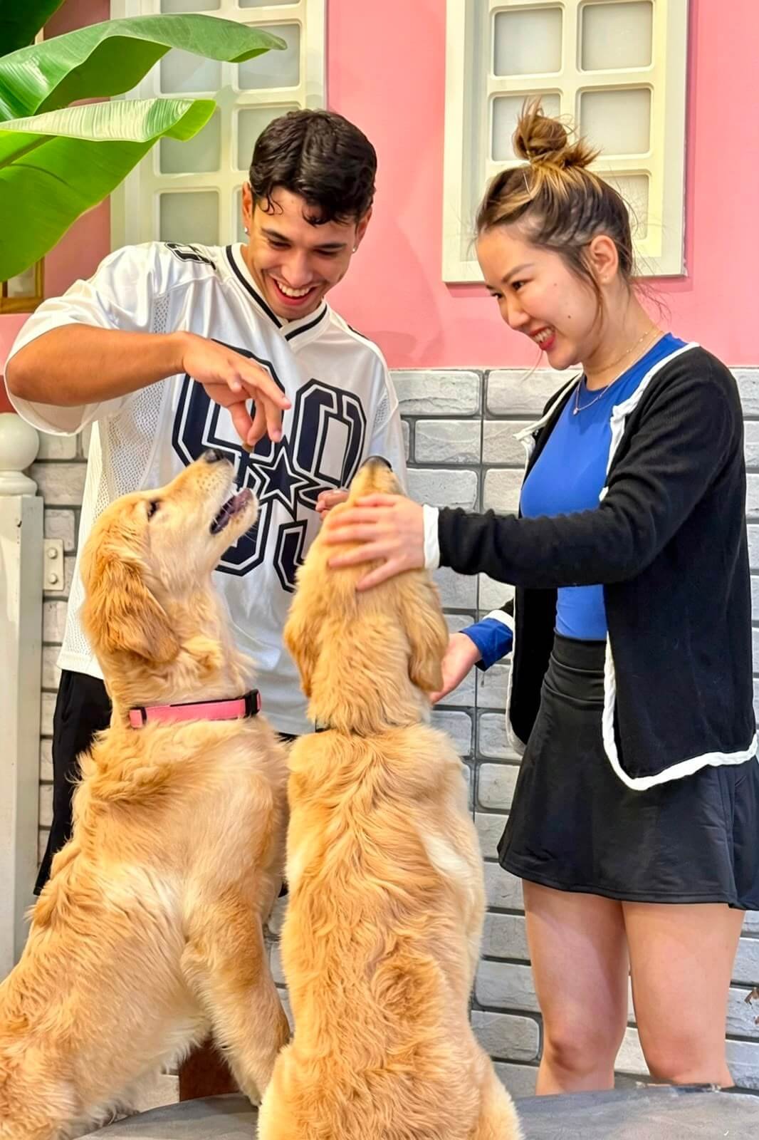 Happy dog at PETME Social Therapy Center