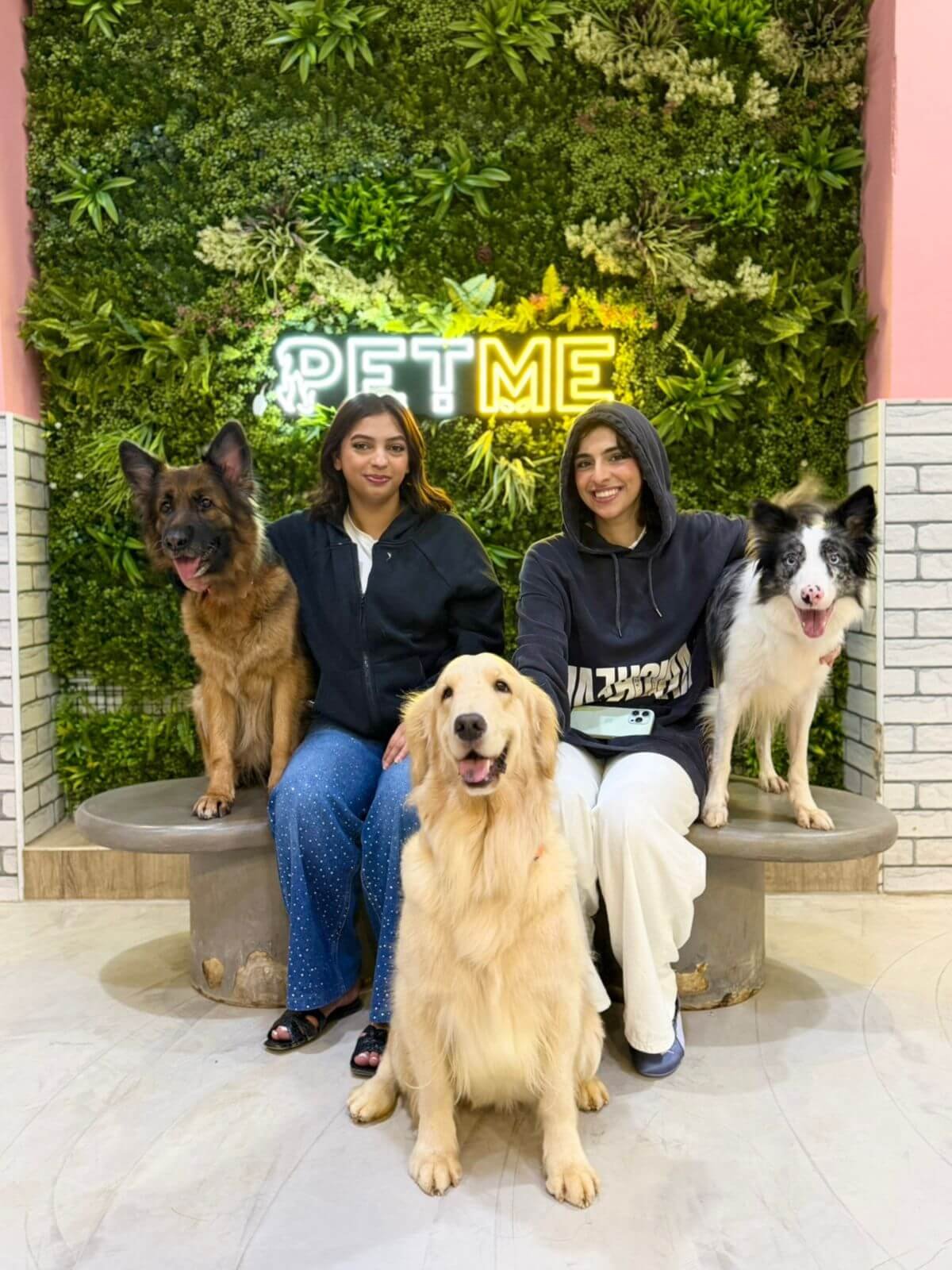 Visitors enjoying time with dogs at PETME Social Therapy Center