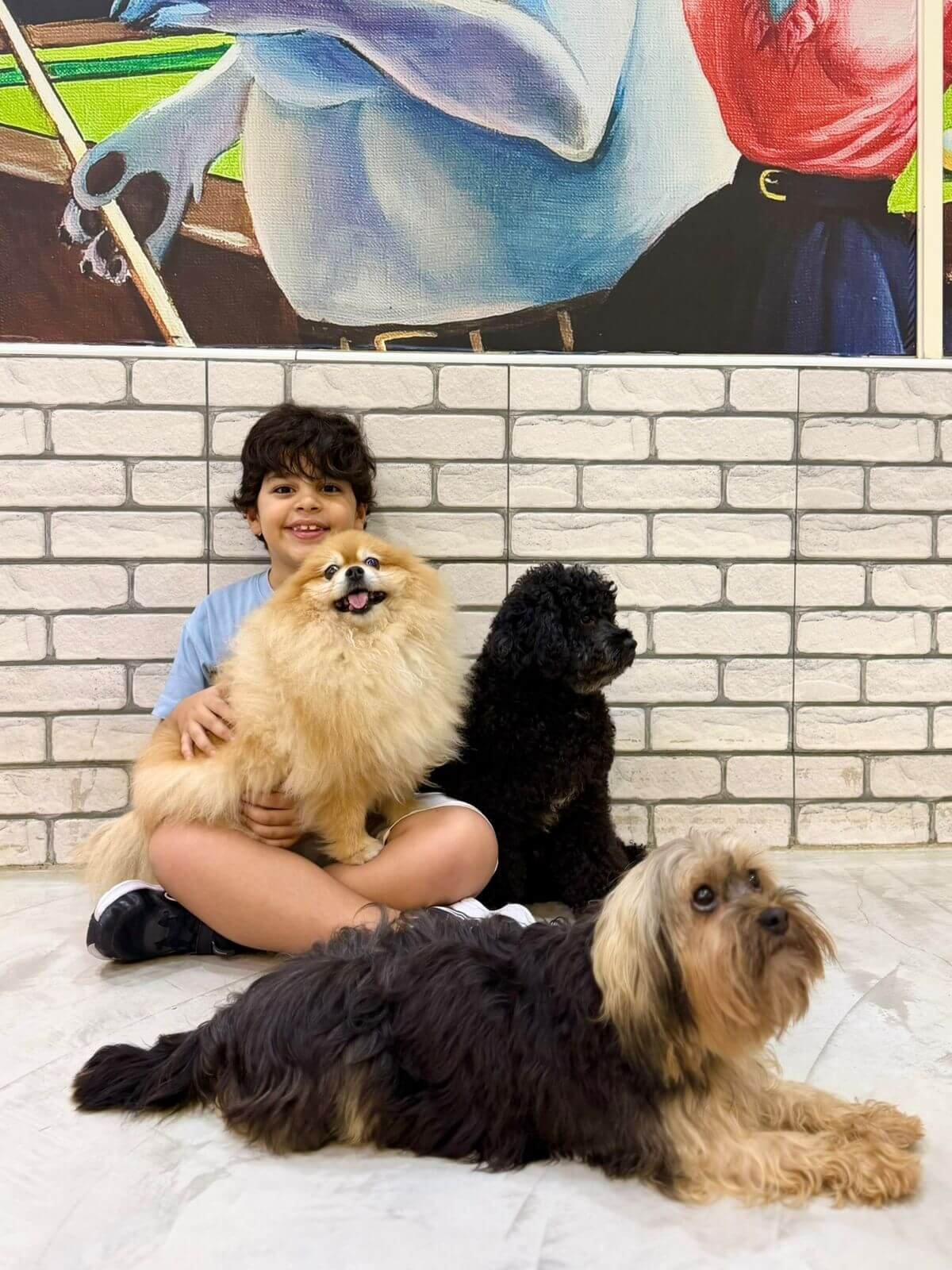 Happy dog at PETME Social Therapy Center